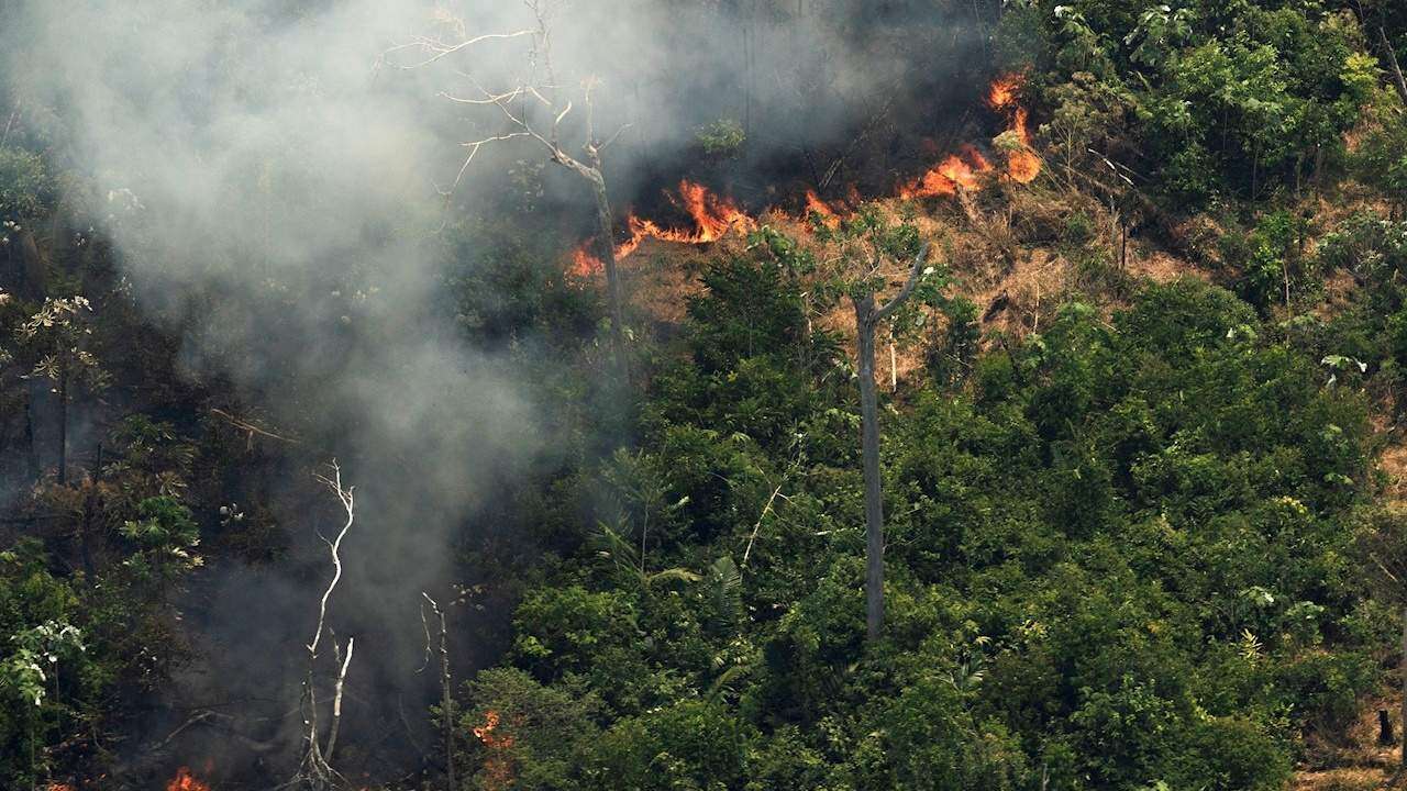 Activado el ejército brasileño para ayudar con los fuegos forestales