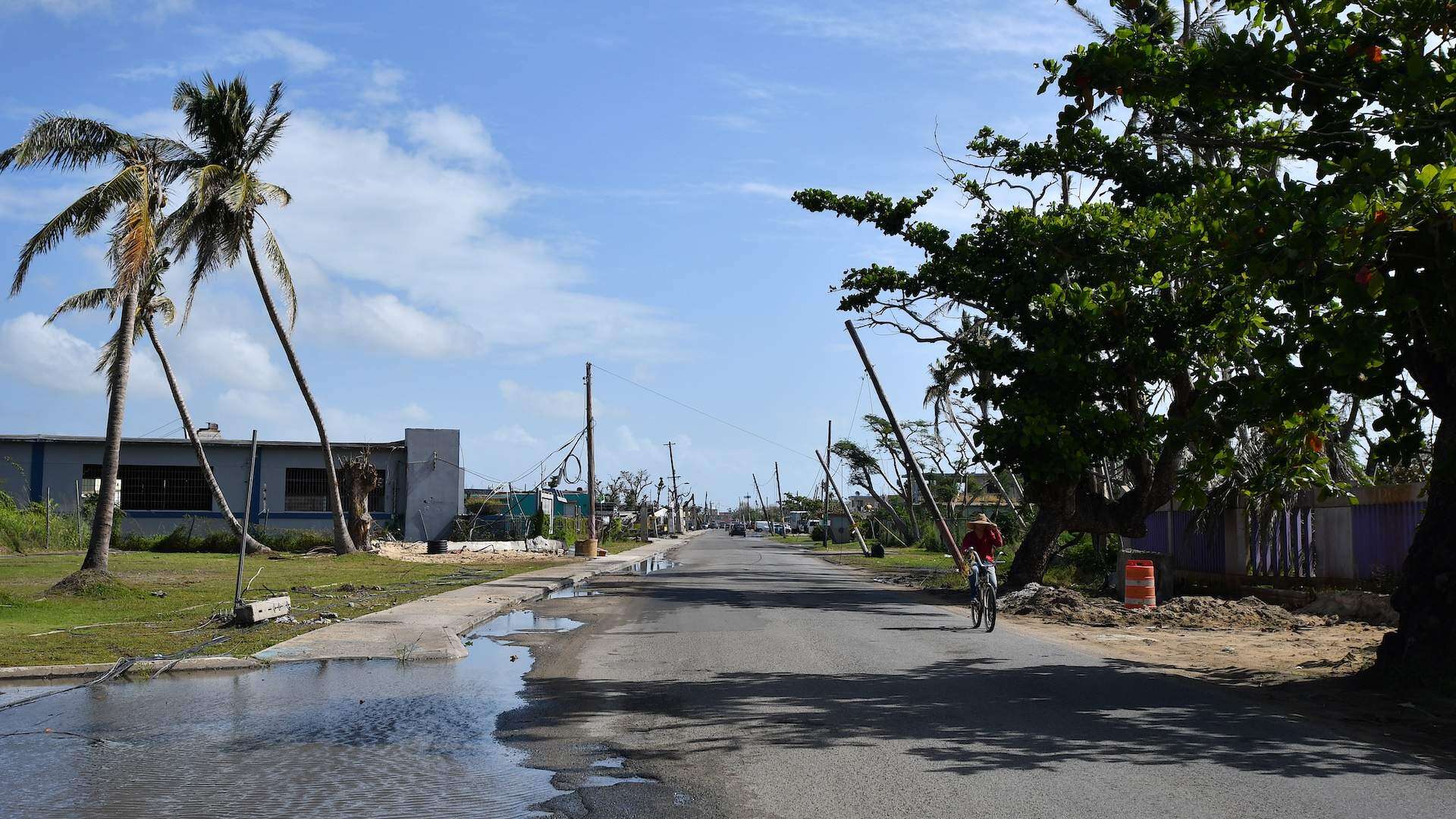 FEMA pagó millones a empresa de crucero mientras denegaba a miles ayuda tra