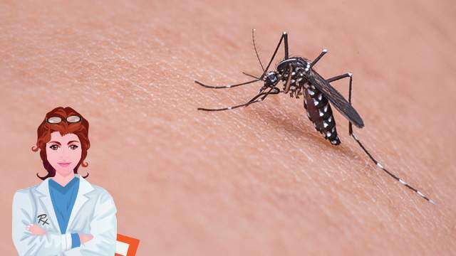 Conoce las enfermedades que pueden transmitir los mosquitos