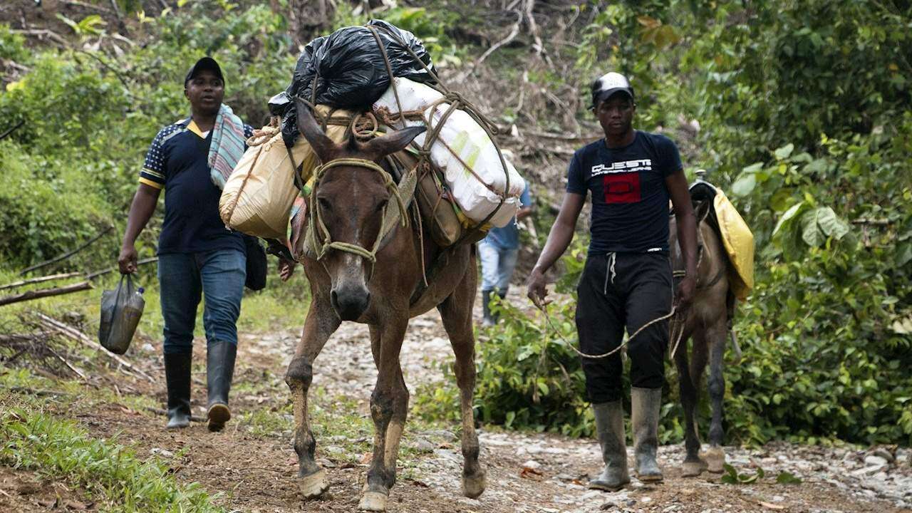 Colombia busca, pero no halla paz