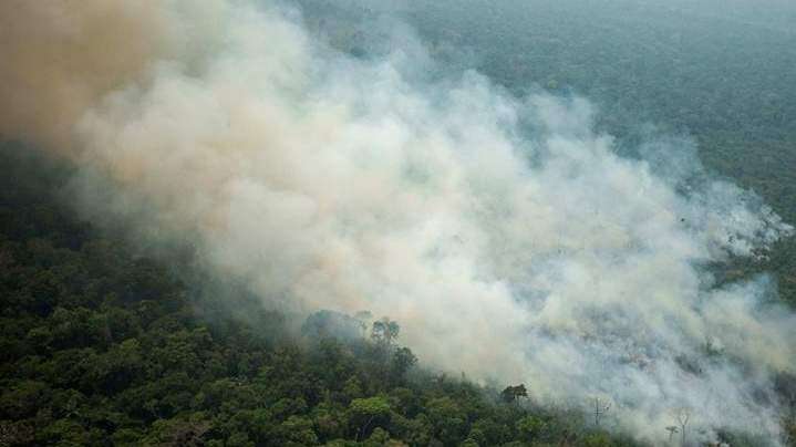 La mafia detrás del fuego en la Amazonía