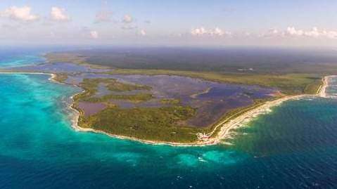 El calor amenaza a los arrecifes de coral caribeños
