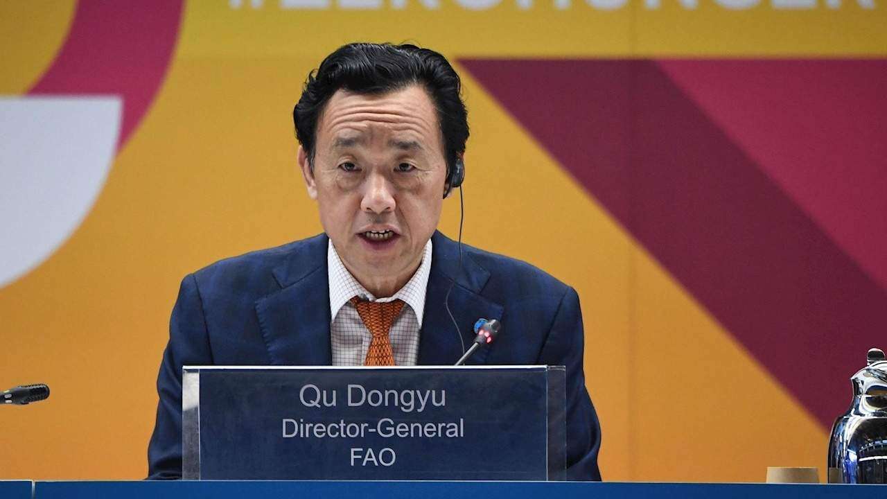 Países deben invertir en dietas saludables, exhorta la ONU