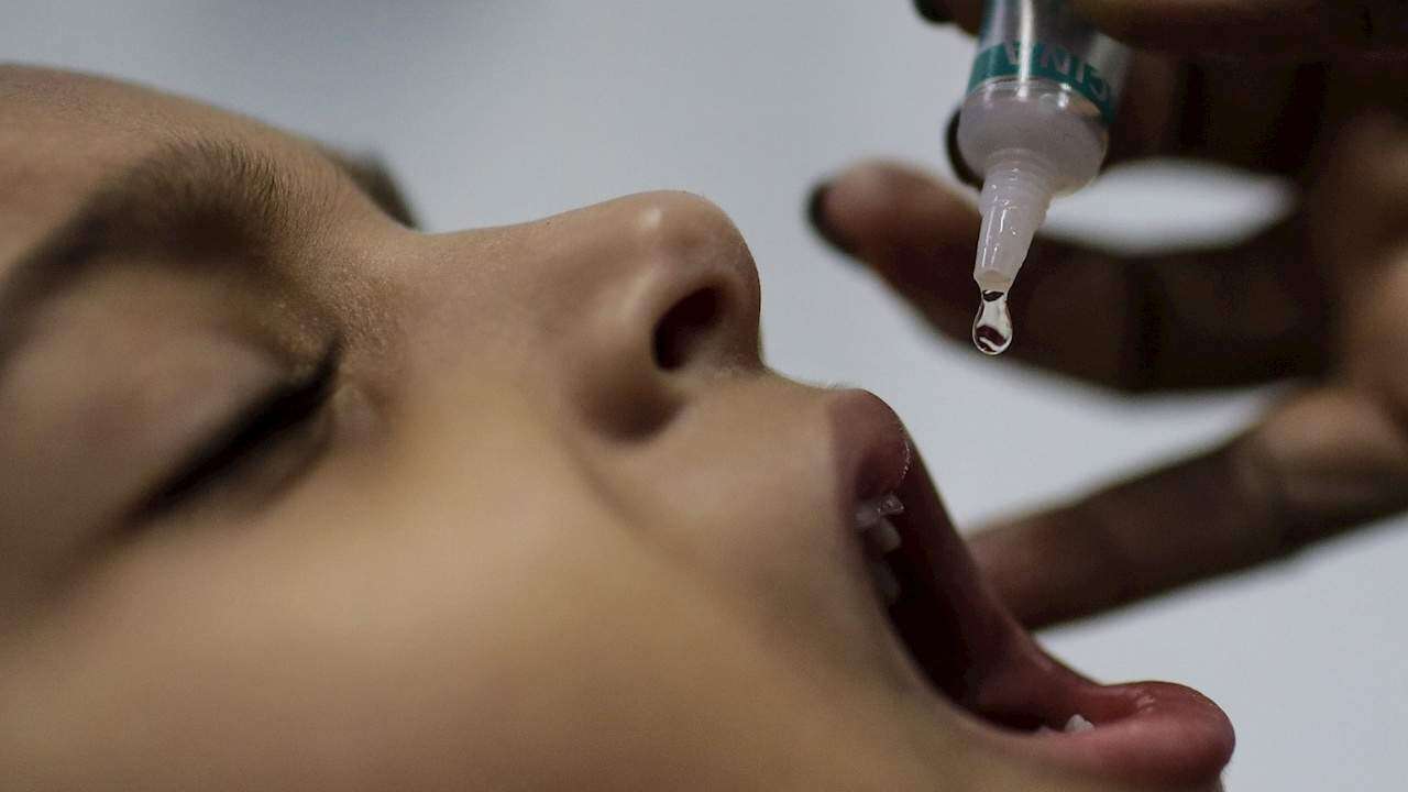 Confirman que el poliovirus 3 fue erradicado del planeta