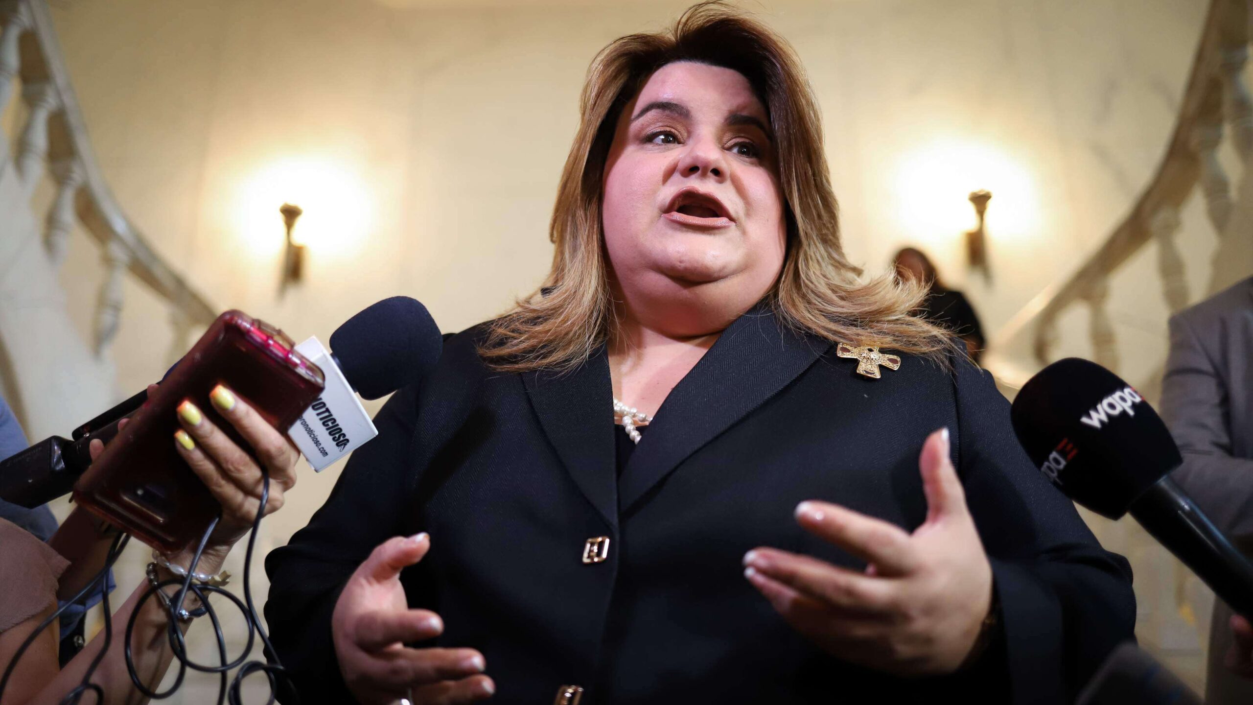 Plebiscito pro estadidad se asoma a las elecciones 2020