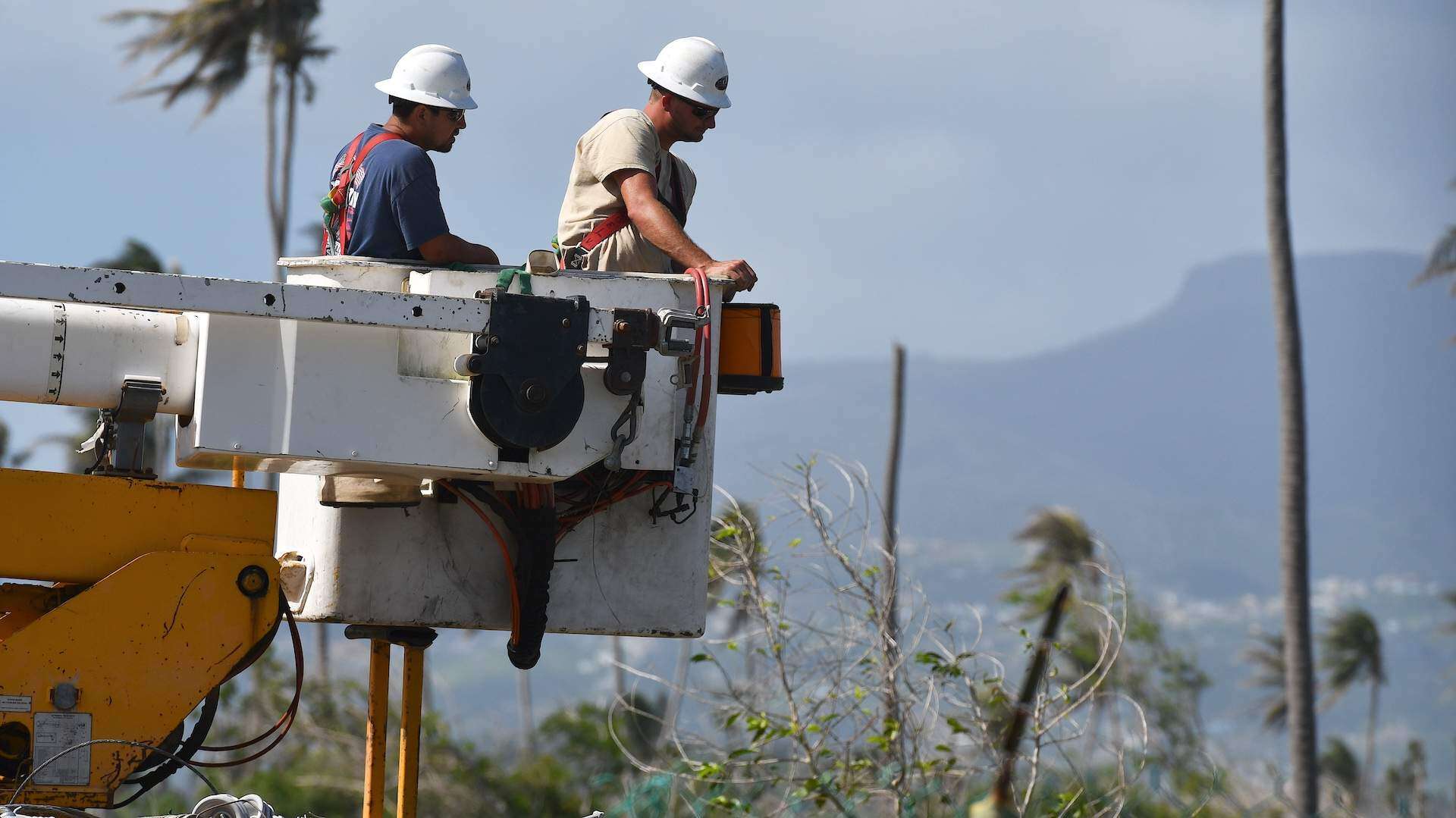 Cobra clama auxilio a Swain para cobrar $216 millones a la AEE