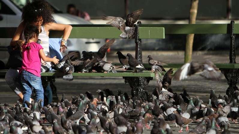 Hombre se sentó esta mañana en un banquito de plaza, y allí murió