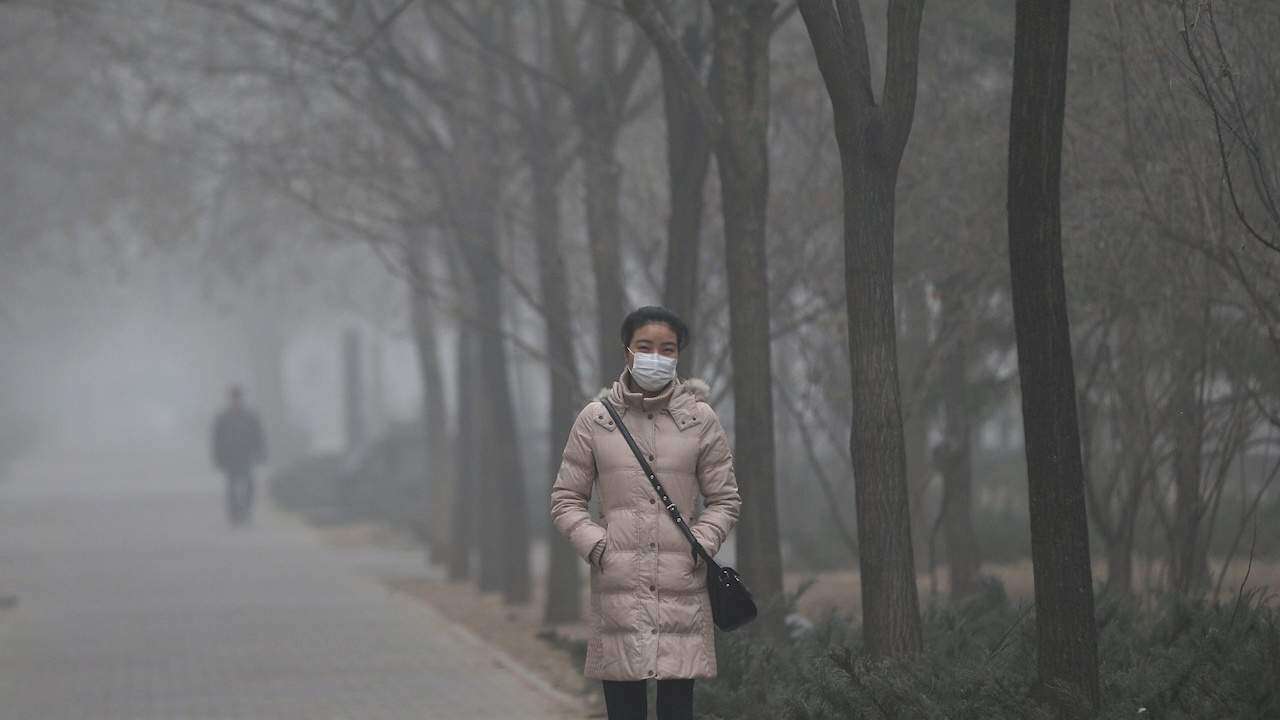Siete millones de personas mueren anualmente por la contaminación