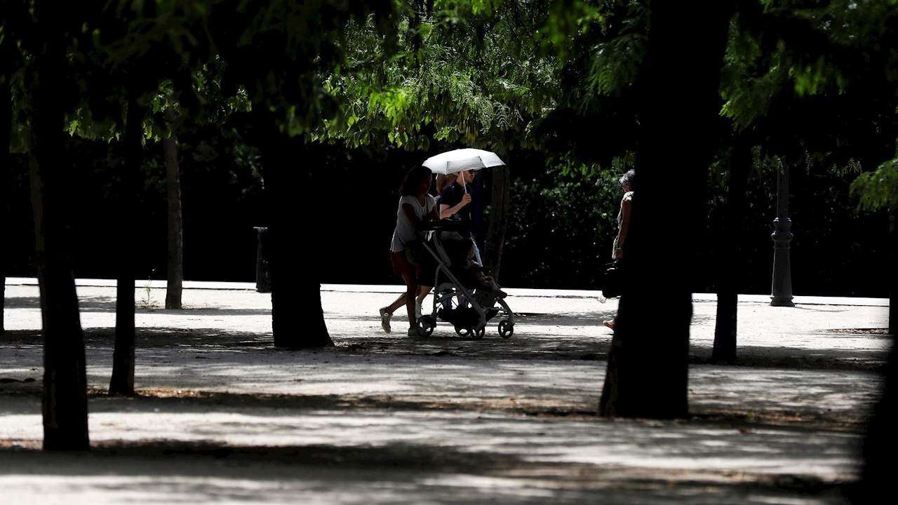 Espacios verdes pueden evitar muertes prematuras en ciudades