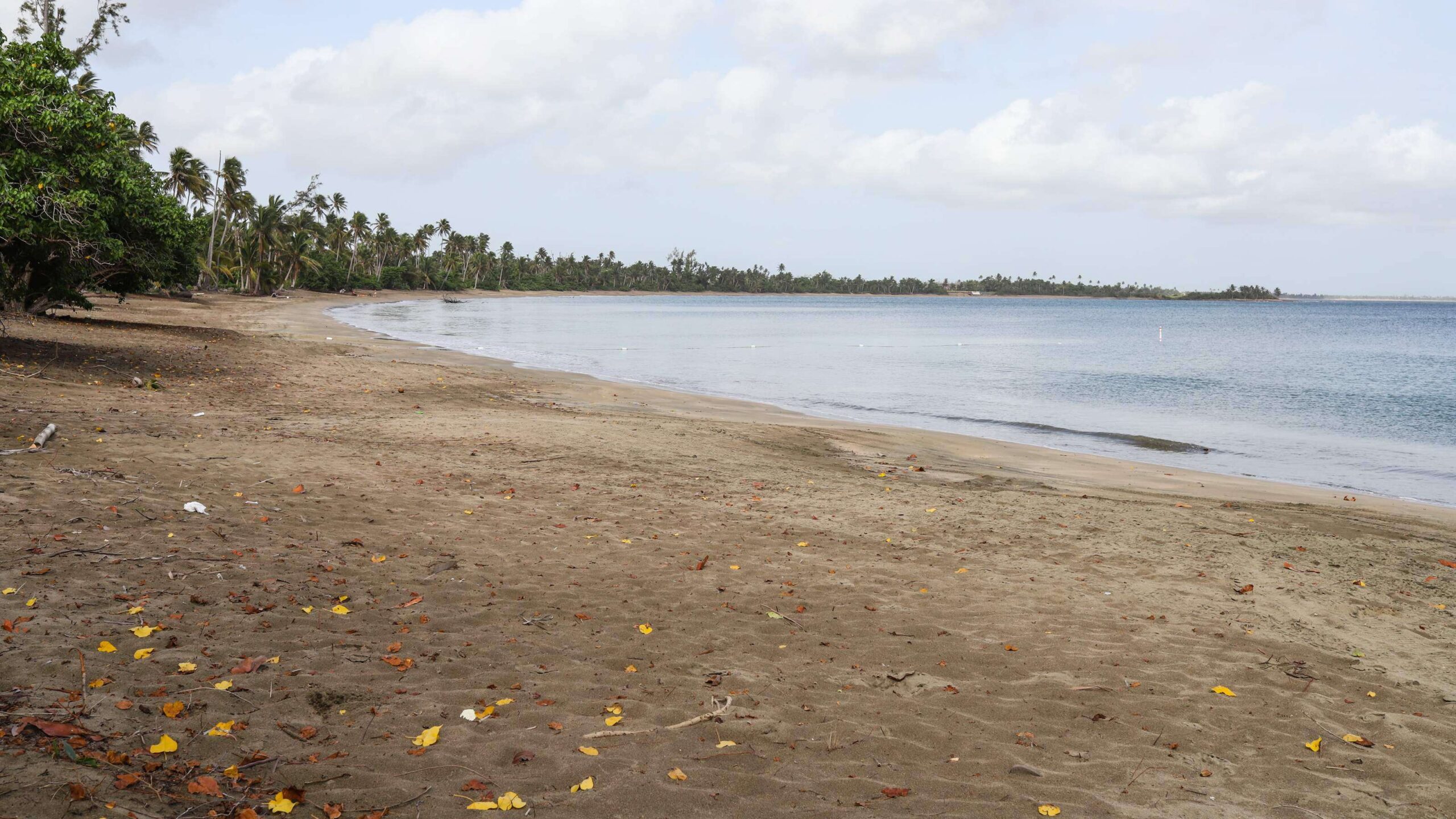 Identifican hombre que pereció ahogado en Luquillo