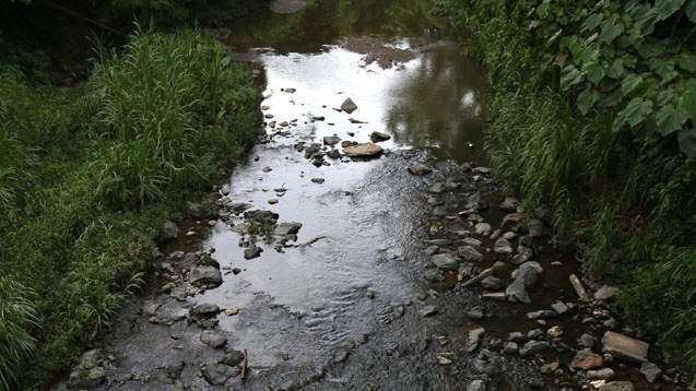 Rescatan cuatro personas en Peñuelas tras crecida de río