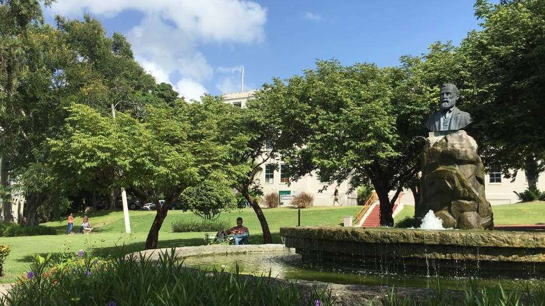 Funcionarios de UPR Cayey fallaron en atender denuncia de acoso sexual