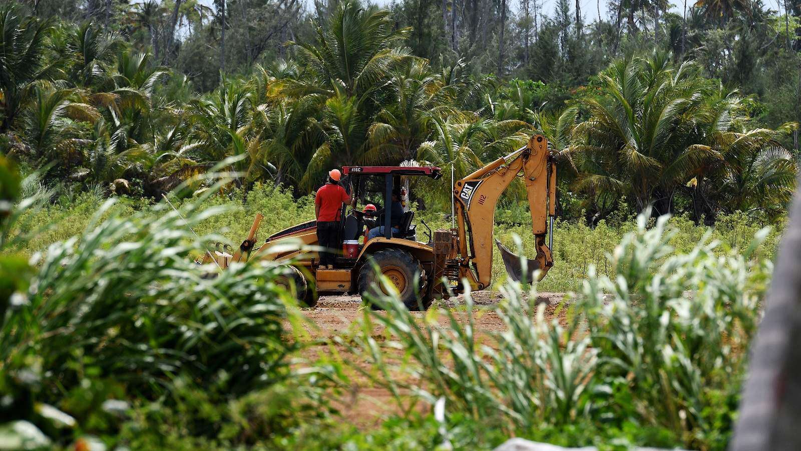 Supremo reinstala las protecciones de reservas naturales que Rosselló quitó
