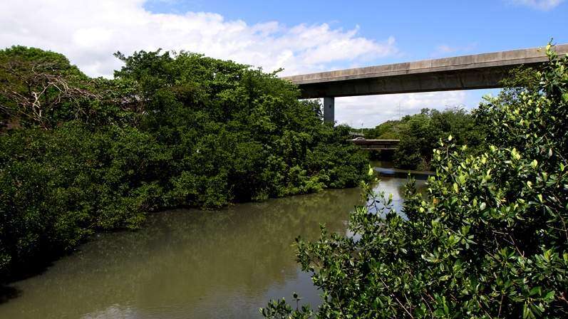 Cierran hoy el puente sobre el Caño Martín Peña