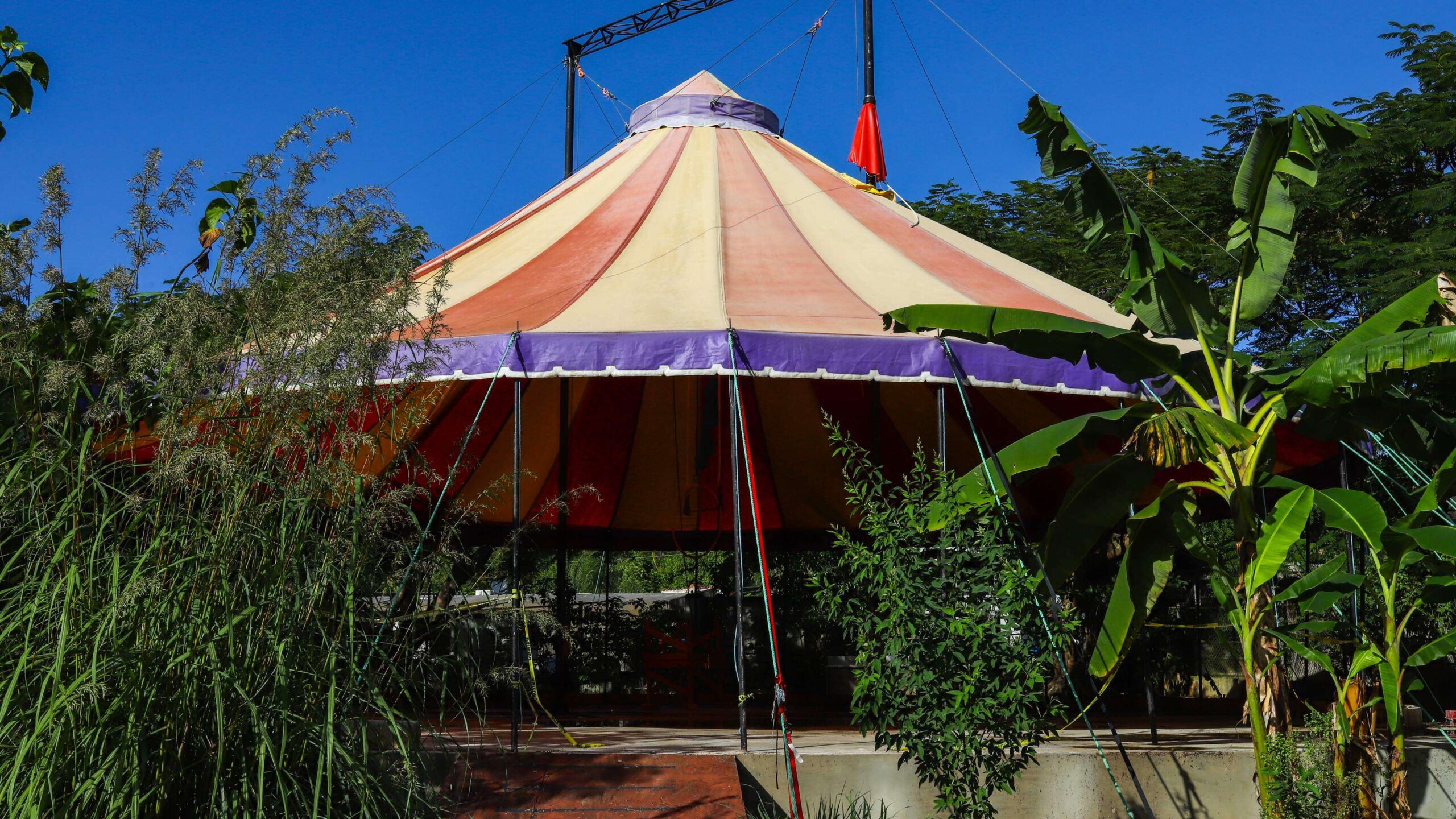 Circo Social: un proyecto para todas las edades