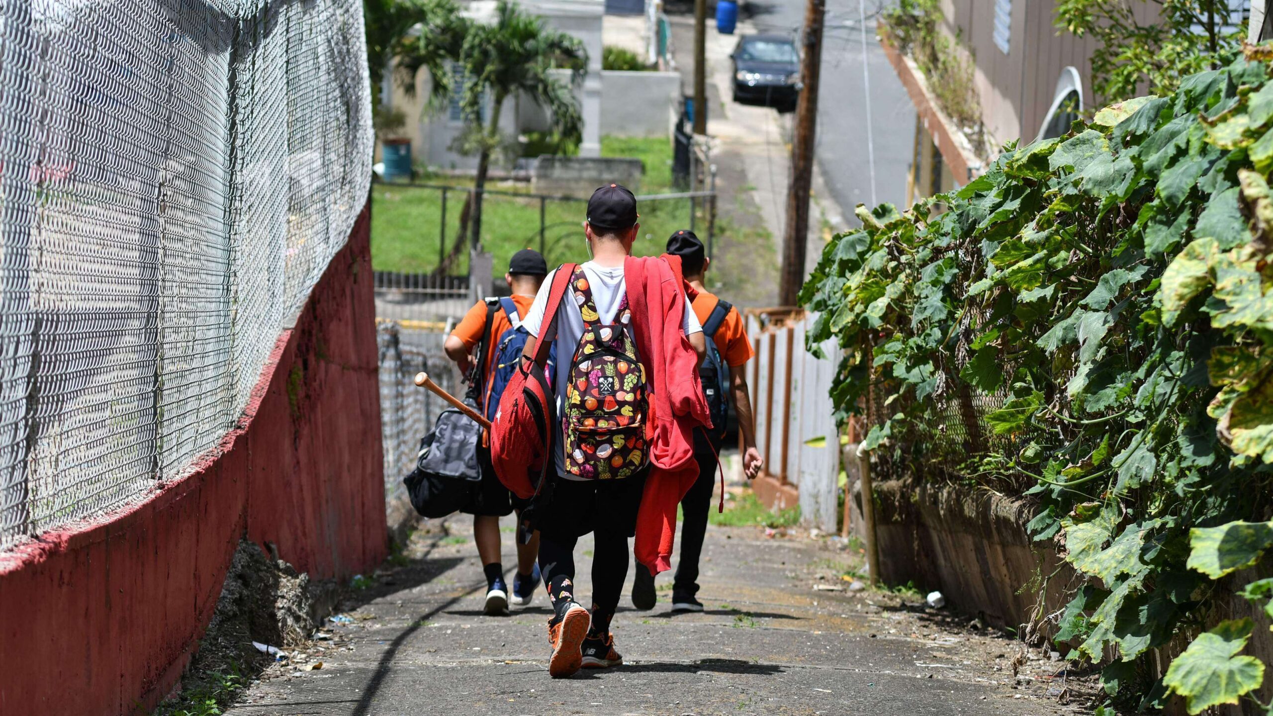 Morovis entregará alimentos a estudiantes de escuela pública