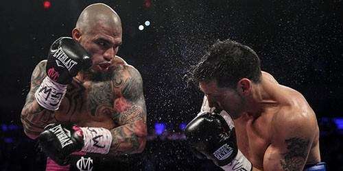 Proponen reanudar peleas de boxeo en agosto