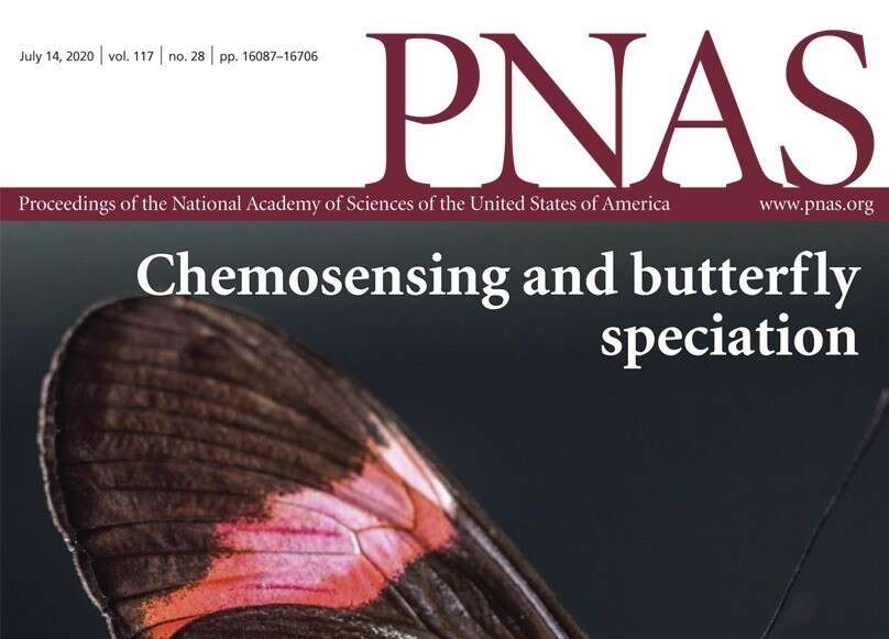 Investigación de la UPR de Río Piedras llega a la portada de prestigiosa revista científica