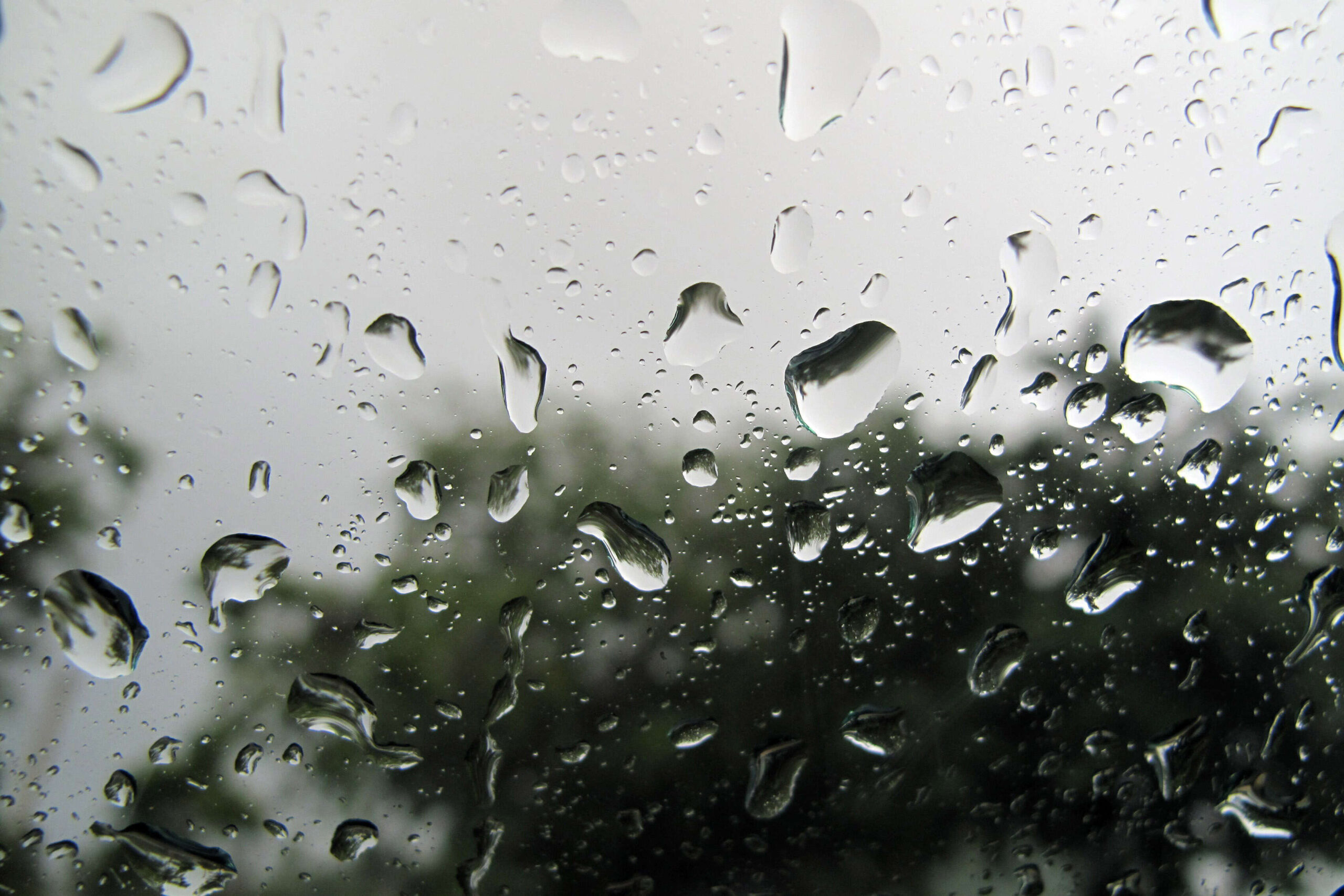 Tronadas y lluvia afectan esta tarde el área oeste