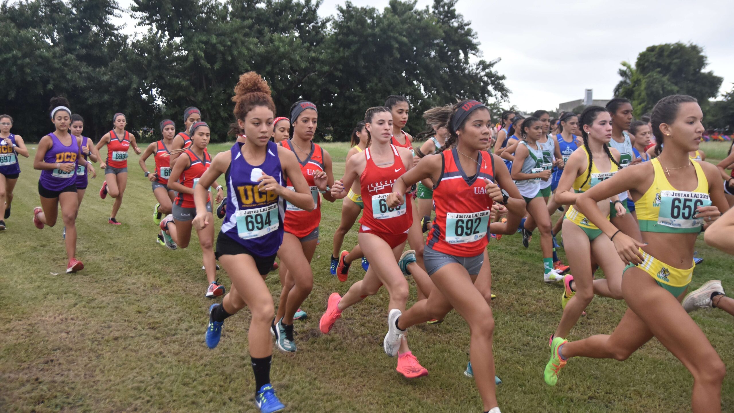 LAI descarta cualquier actividad este año