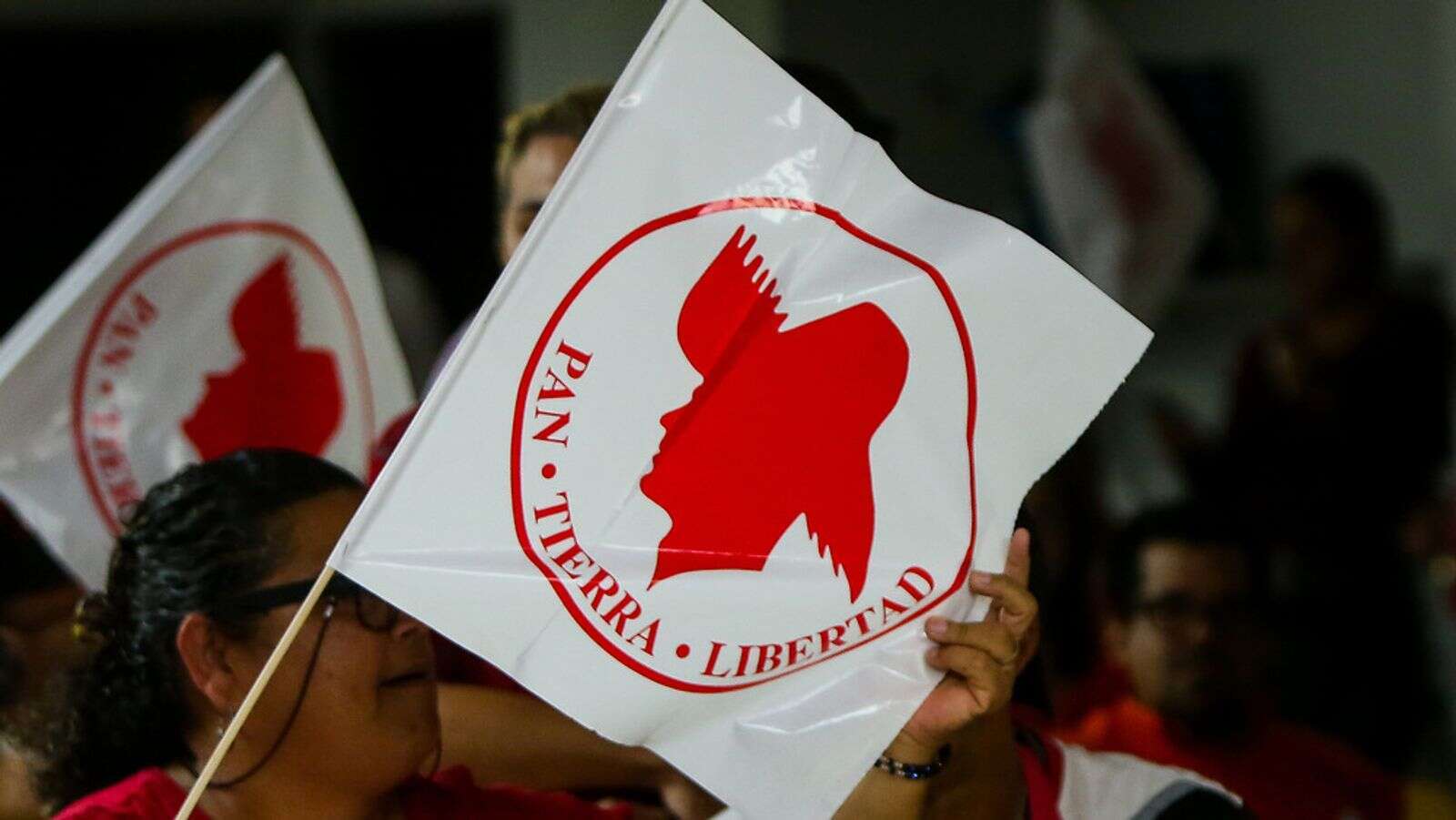 Diez años del Nuevo Reglamento del PPD, Un documento pertinente