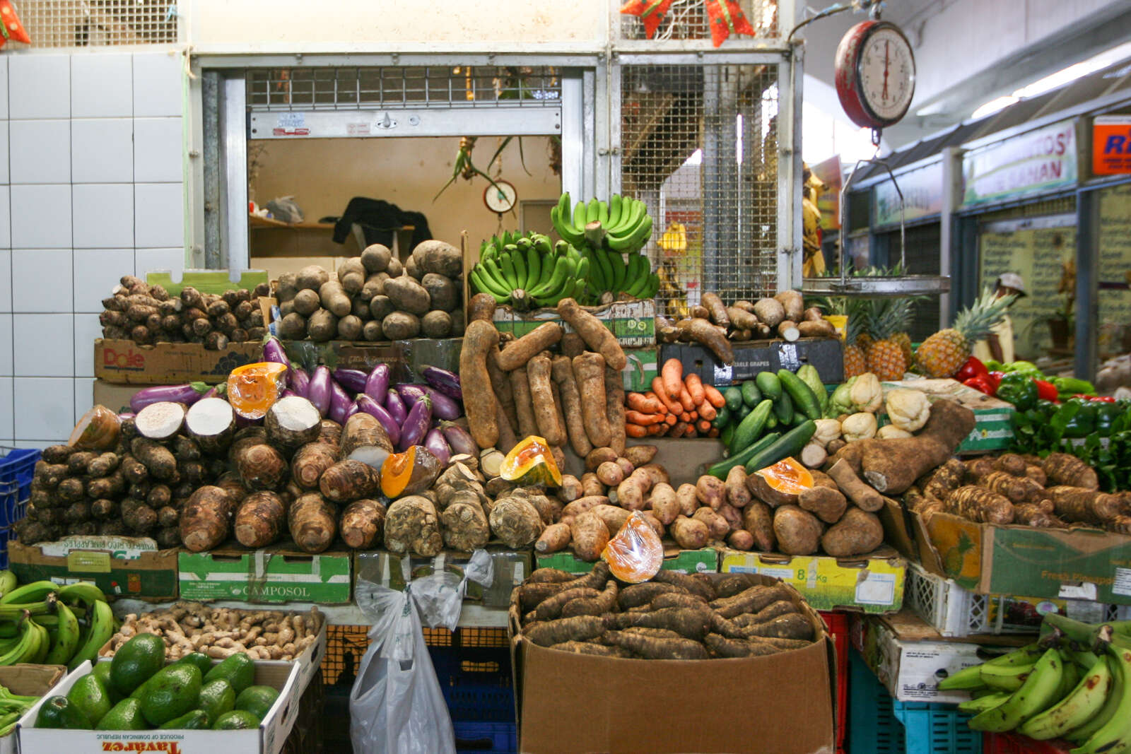 Expresidente de la Asociación de Agricultores a dirigir el Departamento de Agricultura