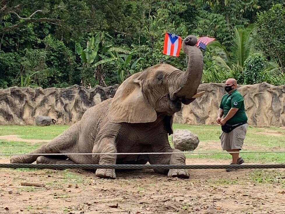 Secretario del DRNA defiende reapertura del zoológico de Mayagüez