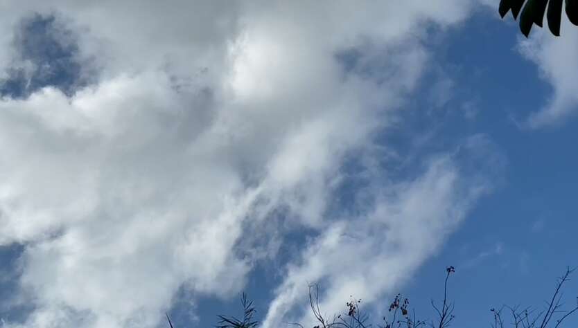 El tiempo para mañana soleado