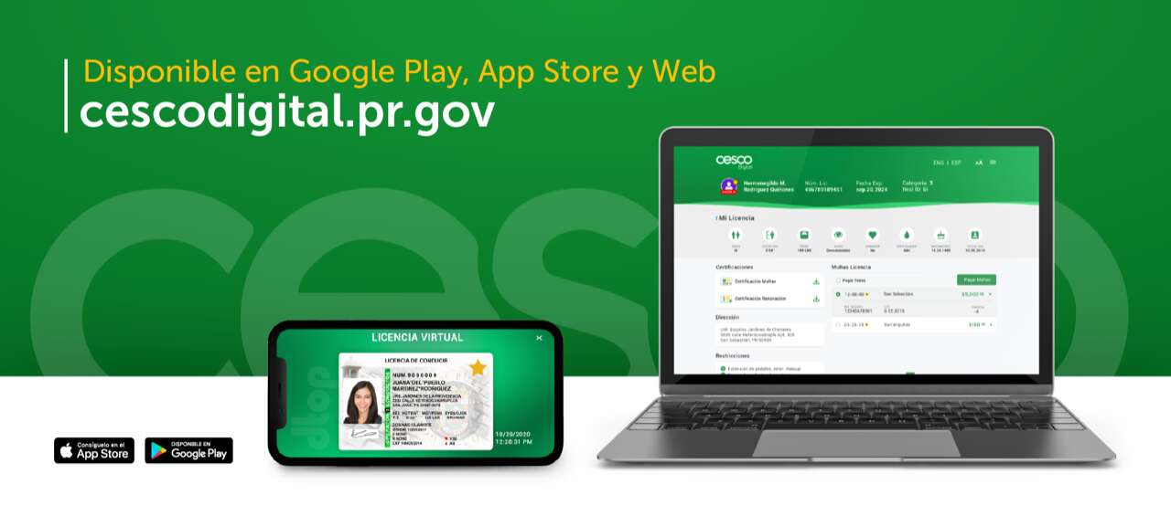 EN VIVO: Entérese cómo puede sacar la licencia de aprendizaje virtual
