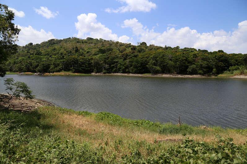 Se espera tiempo generalmente estable