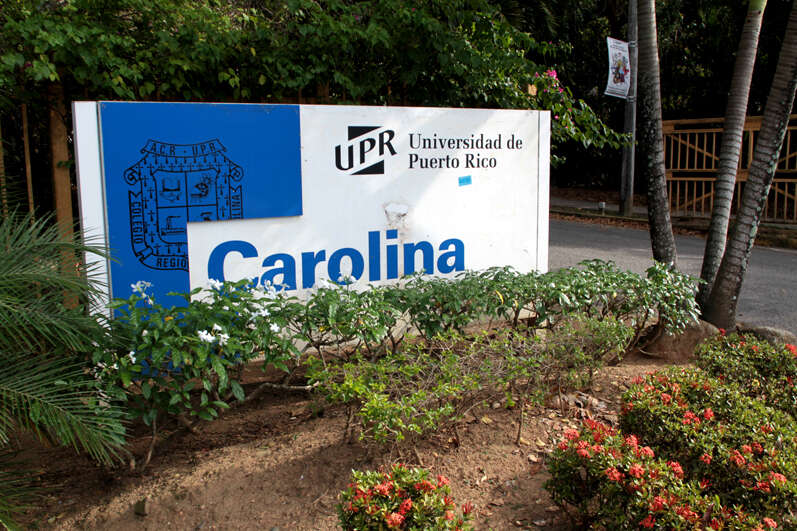 UPR Carolina decreta moratoria en entrega de trabajos y exámenes tras la falta de luz