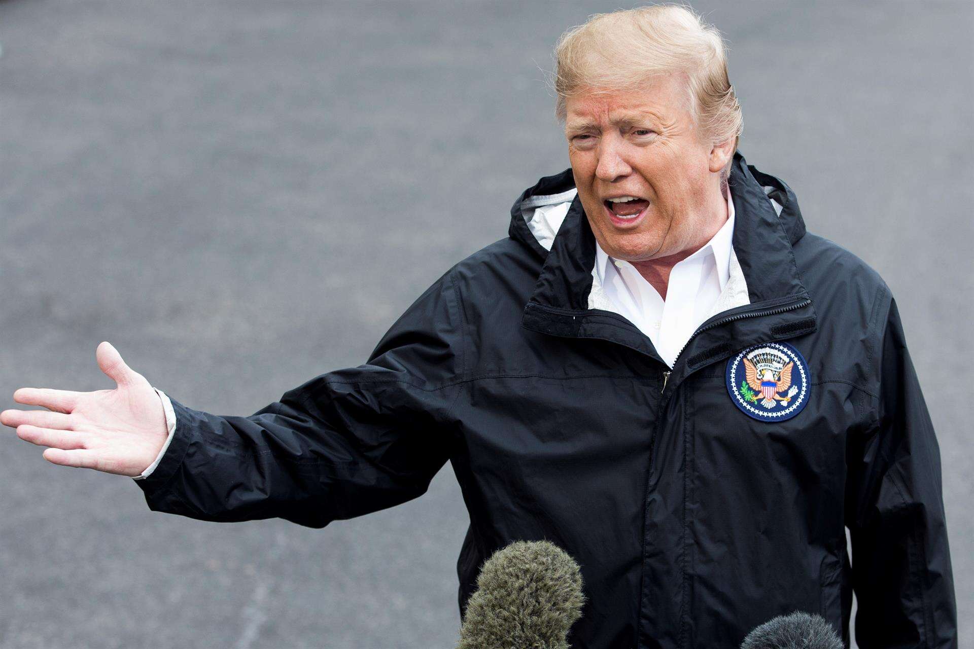 Cruce de apuestas sobre a quién «atizará» Trump como comentarista de boxeo