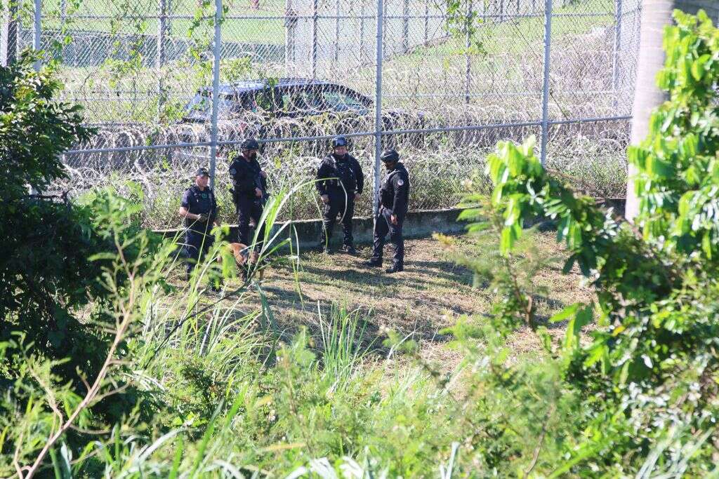 En imágenes: Así buscan las autoridades a un hombre que chocó y huyó con armas