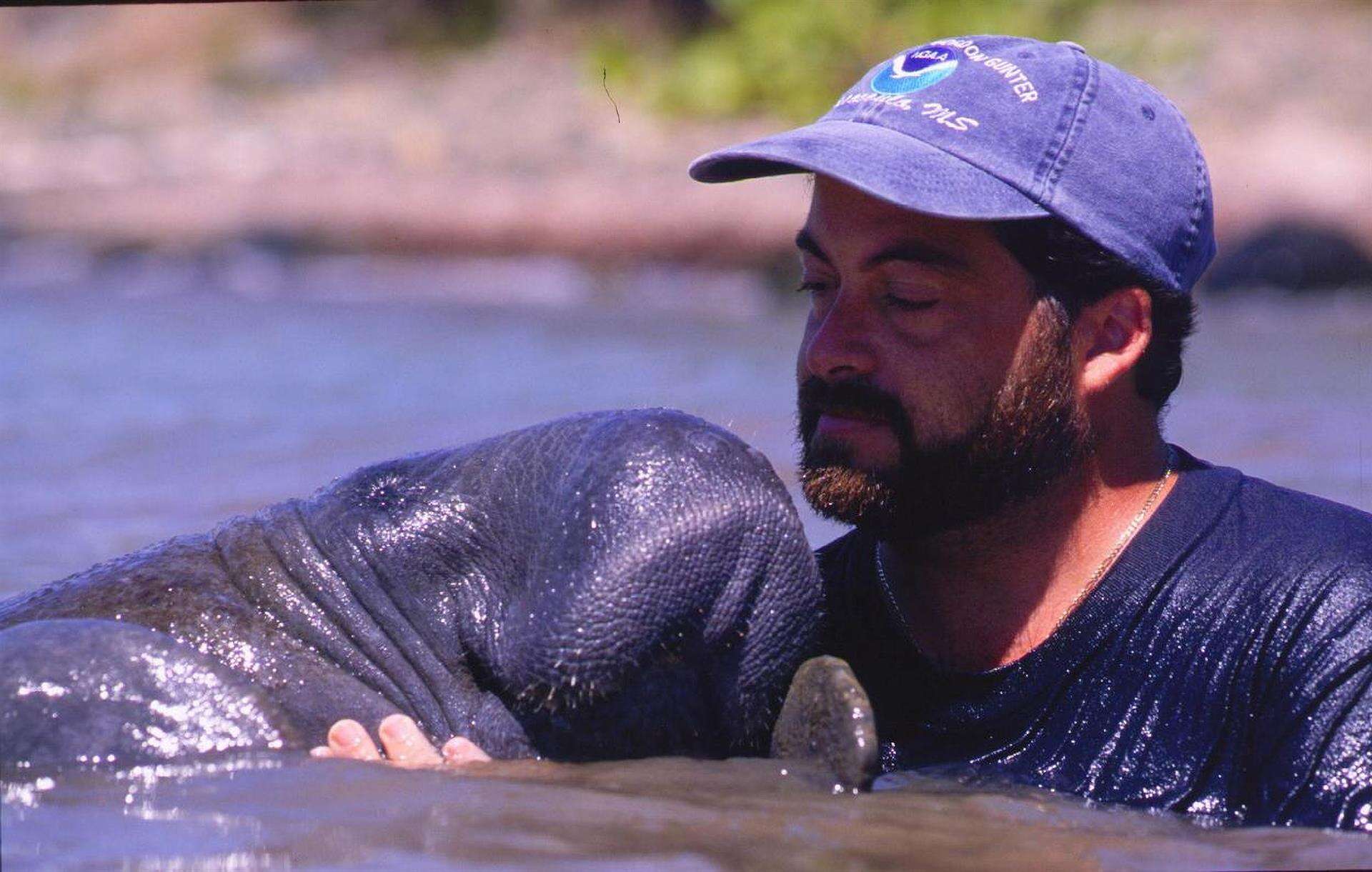 Conmemoran 30 años del rescate del manatí Moisés
