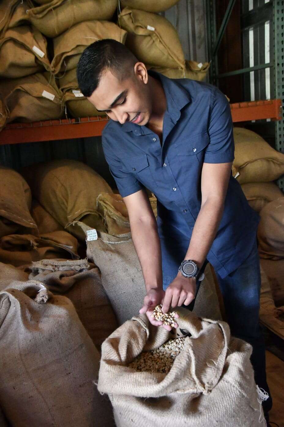 Investigadores identifican hongo que afecta cultivos de café