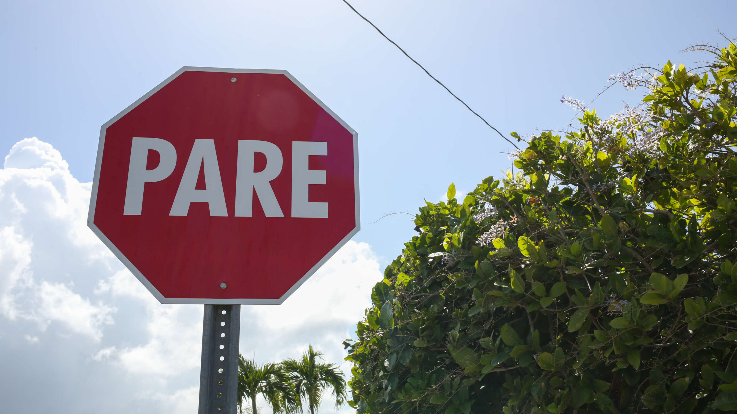 Mucho tránsito con pavimento mojado