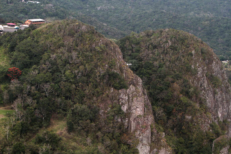Tarea difícil llegar hasta joven que cayó por precipicio del cerro Las Tetas de Cayey