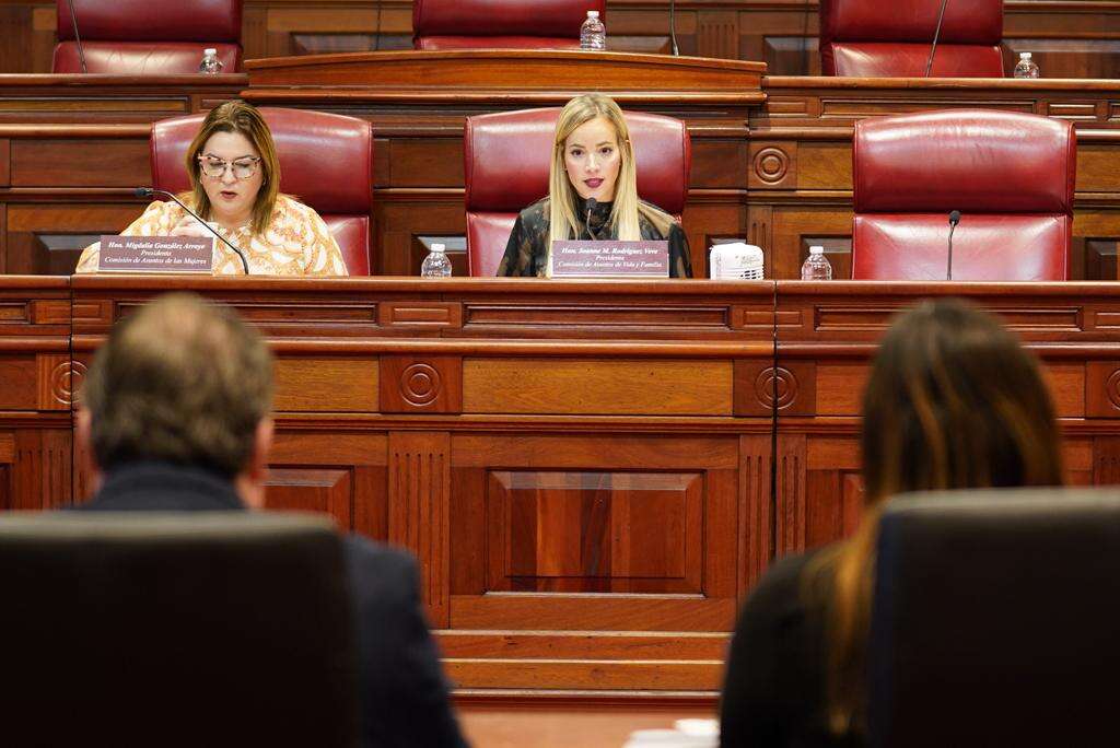 Careos, acusaciones y discusión por feminismo en vista de proyecto que restringe el aborto