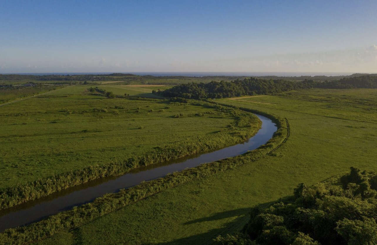 Para la Naturaleza celebrará cumbre virtual Puerto Rico Conserva el 21 y 22 de abril