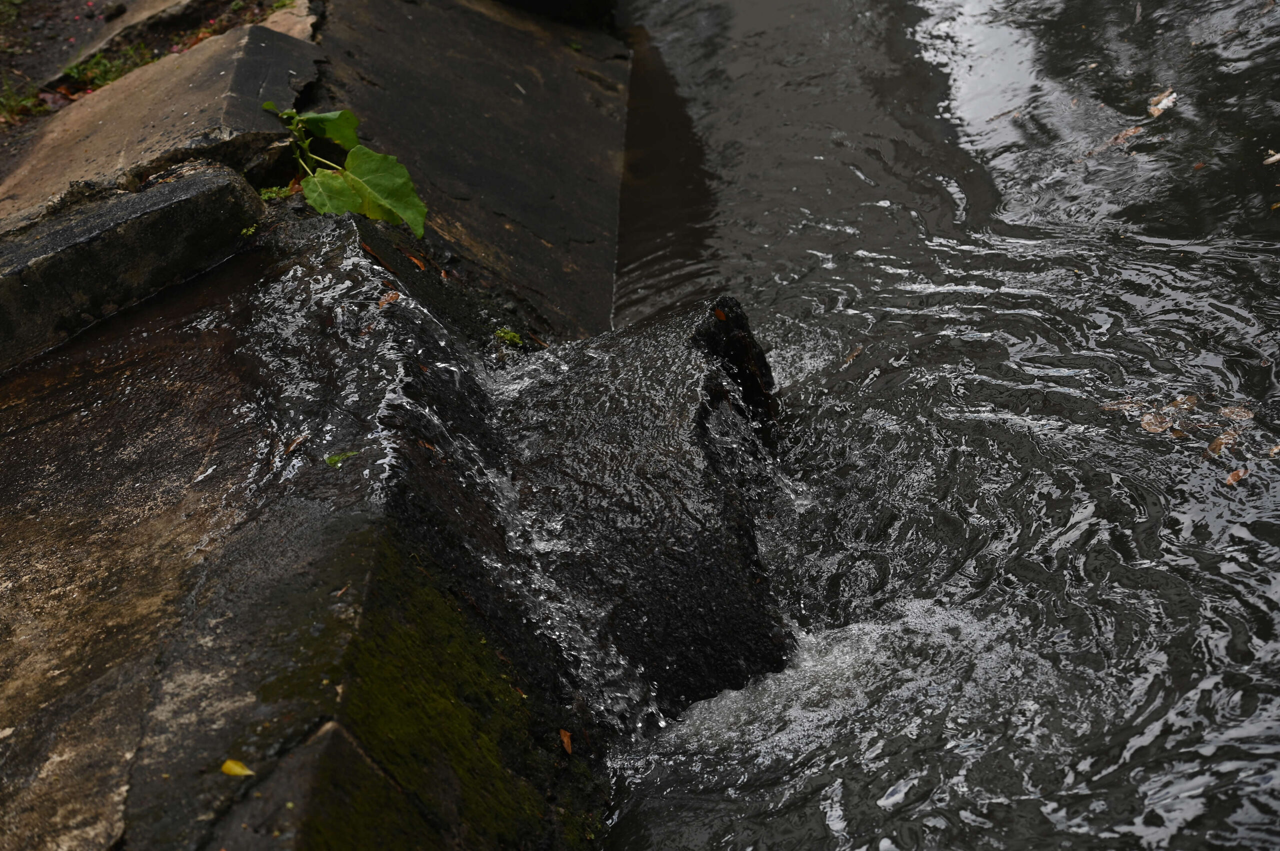 Se esperan más aguaceros en lo que resta de semana
