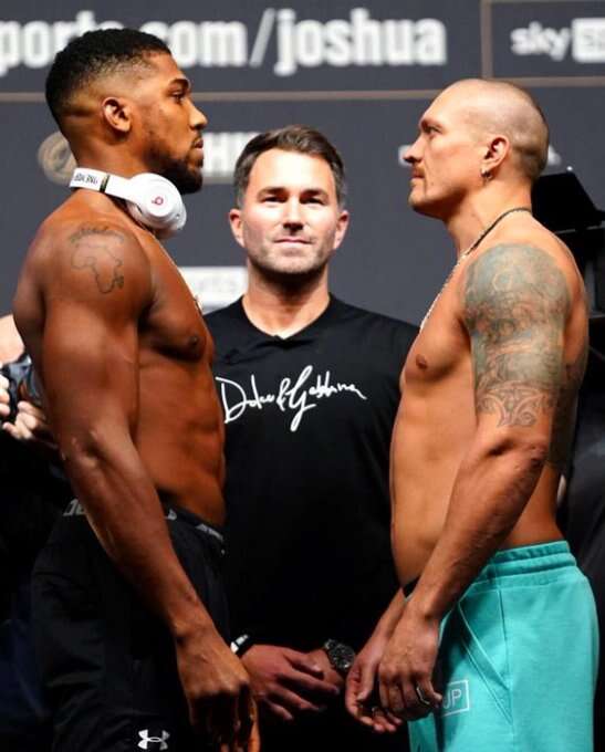 Promotores de boxeo más importantes podrían celebrar carteleras en la Isla