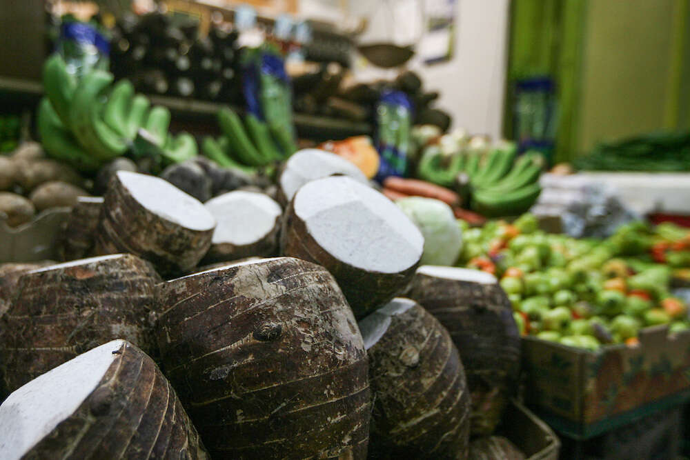 Urgen un plan nacional de seguridad alimentaria