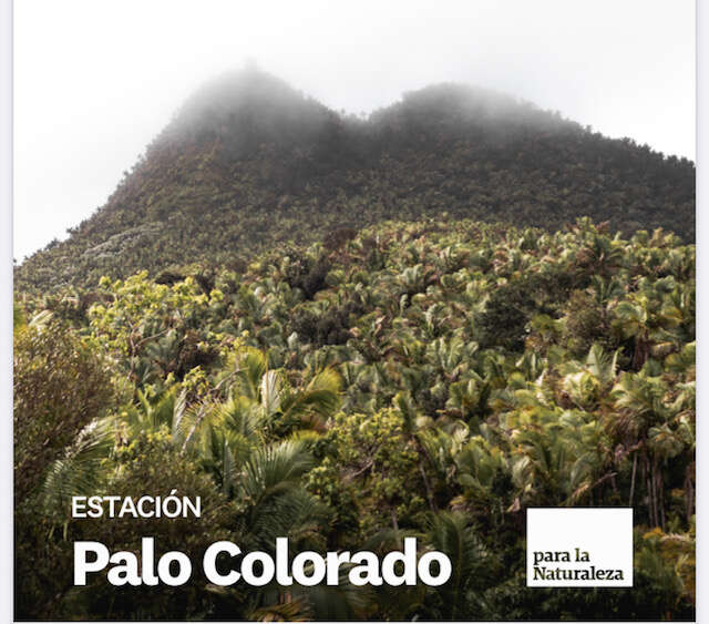 Para la Naturaleza inaugura nuevo centro de visitantes en El Yunque