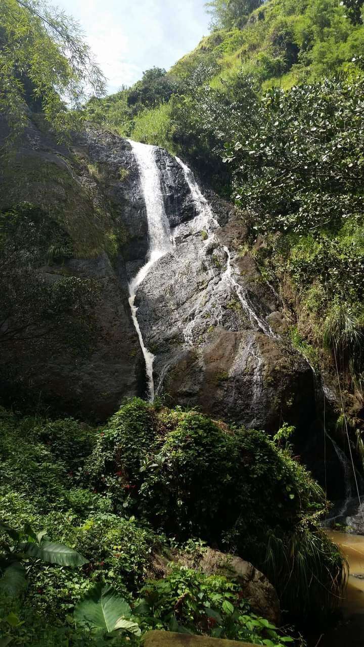 Recuperan cuerpo de joven que murió tras ser picado por abejas en Corozal