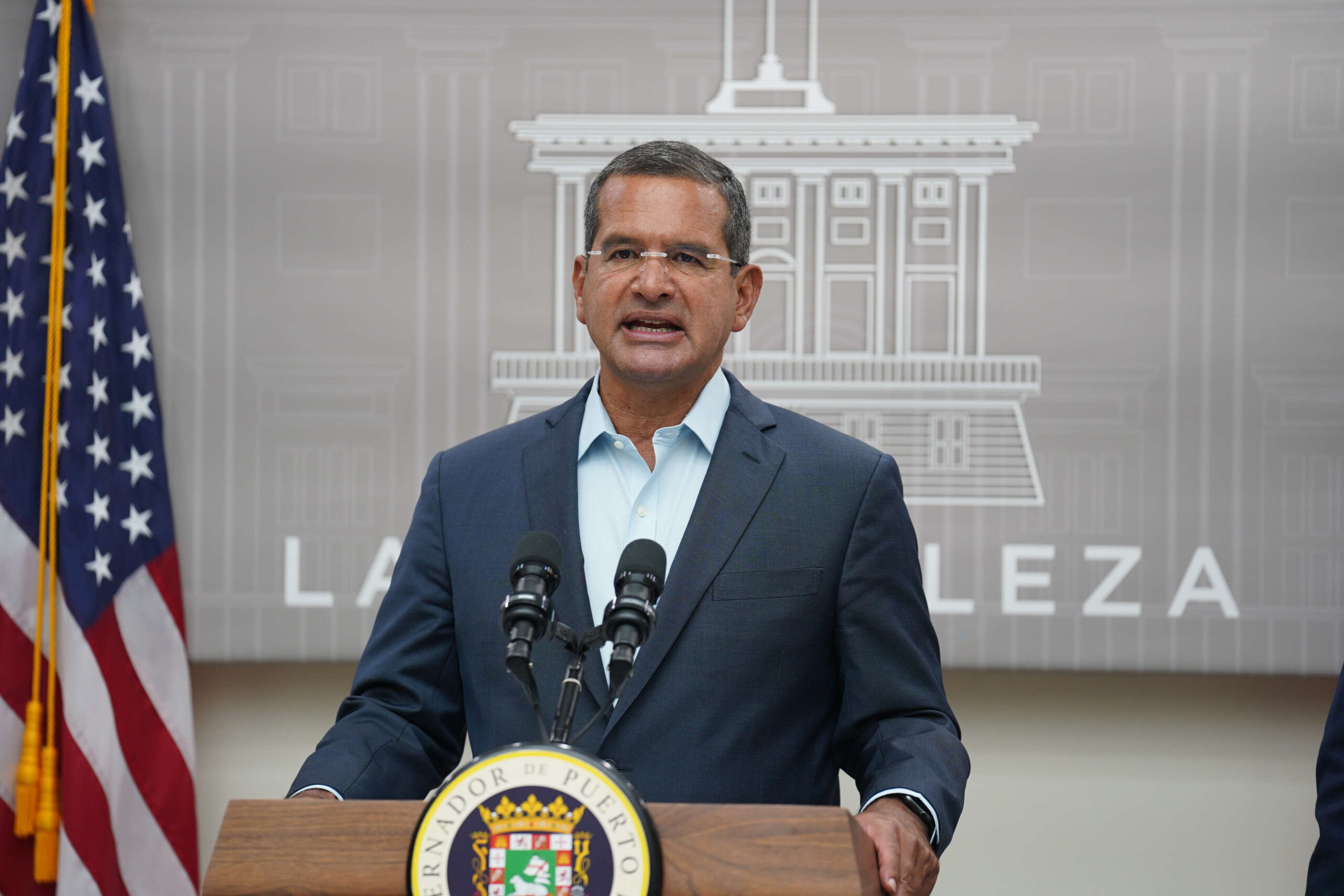 Antes de fin de mes se sabrá futuro de estado de emergencia por violencia doméstica