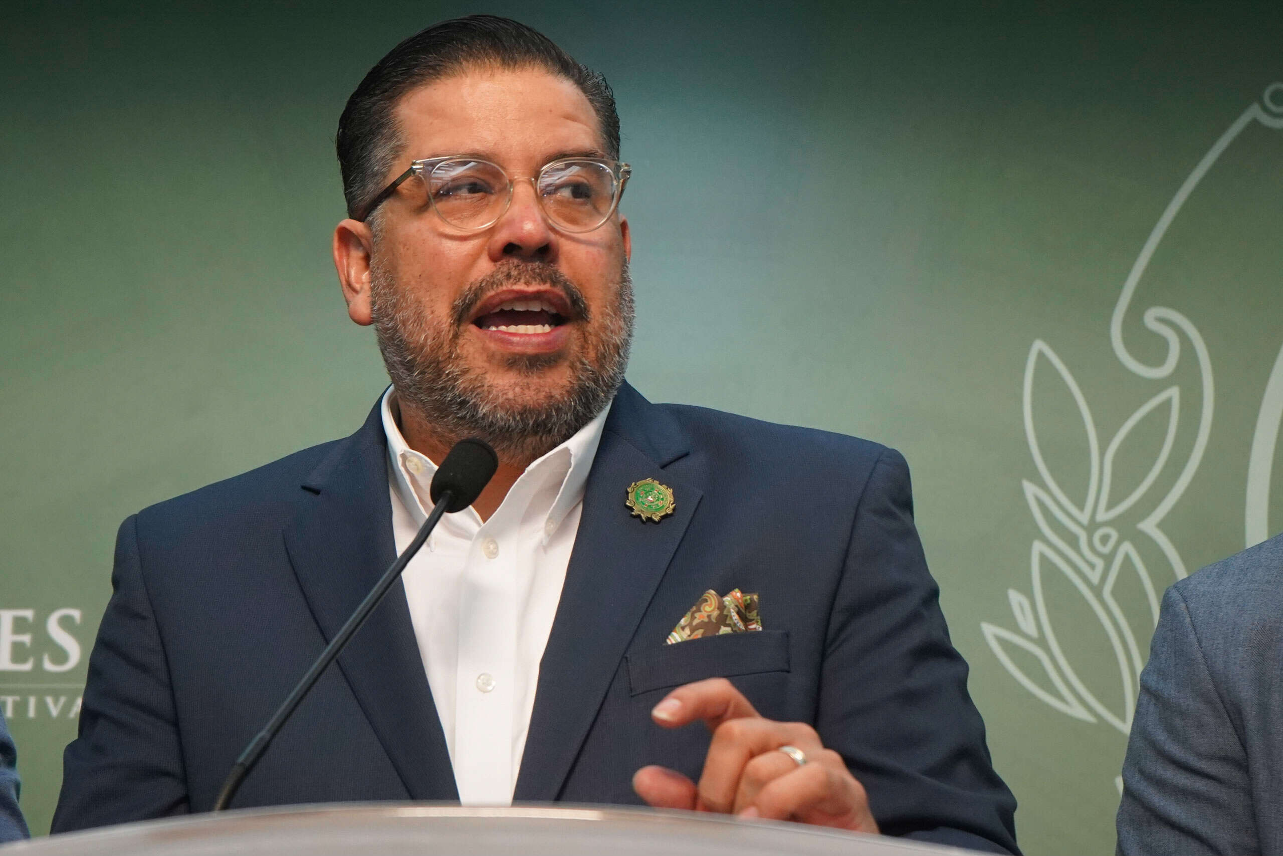 ¿No llegará a la Cámara medida para mitigar aumentos de agua y luz?