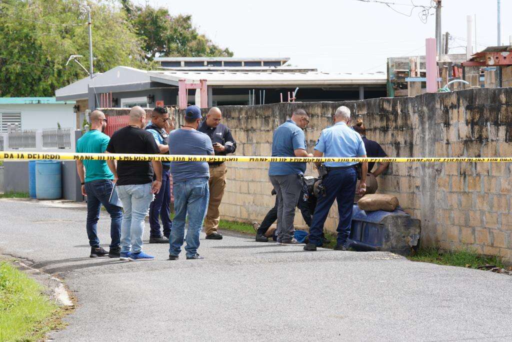 Encuentran cadáverdentro de contenedor de basura en Toa Baja