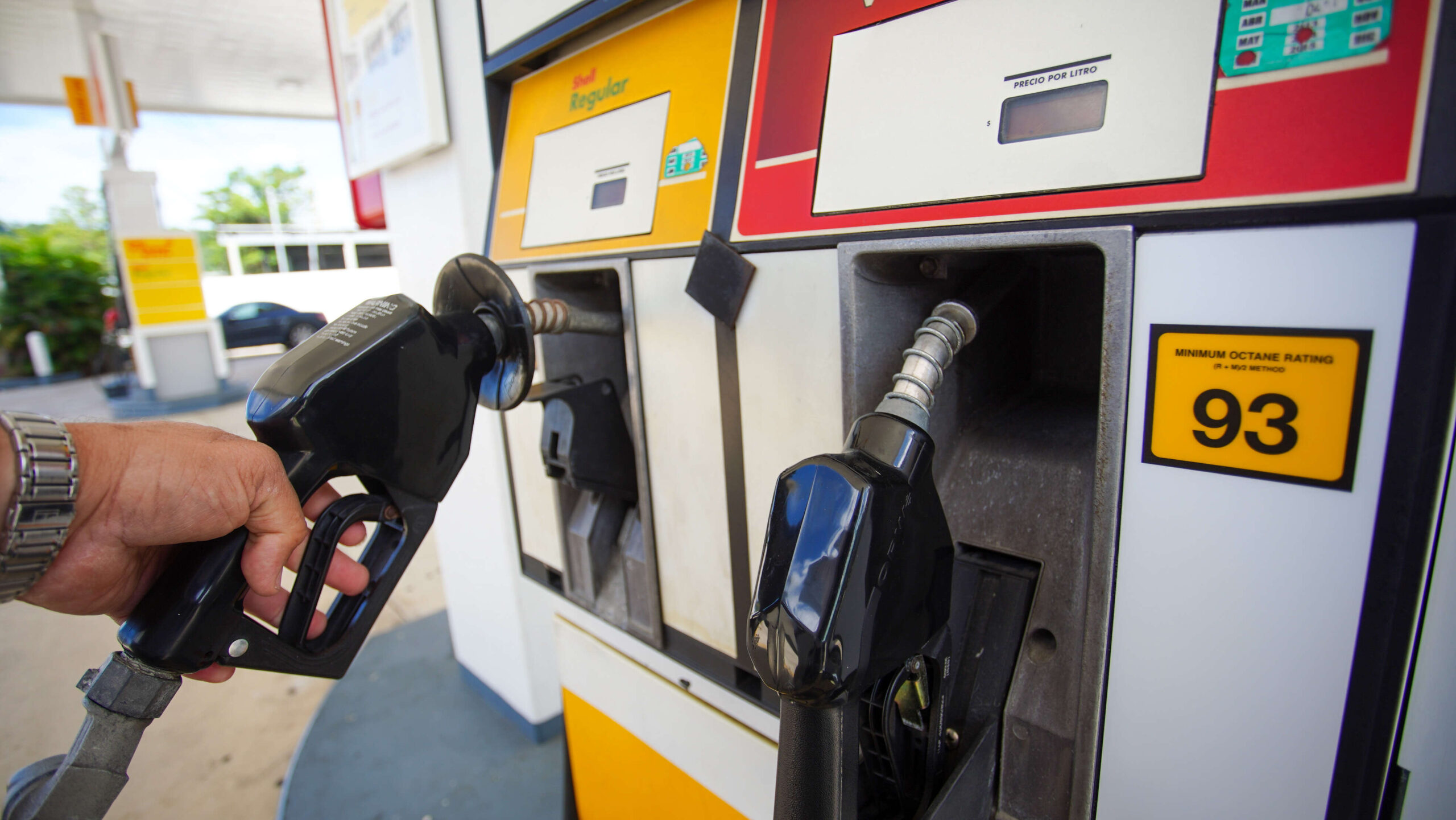 Finaliza hoy la moratoria en el precio de «La Crudita»