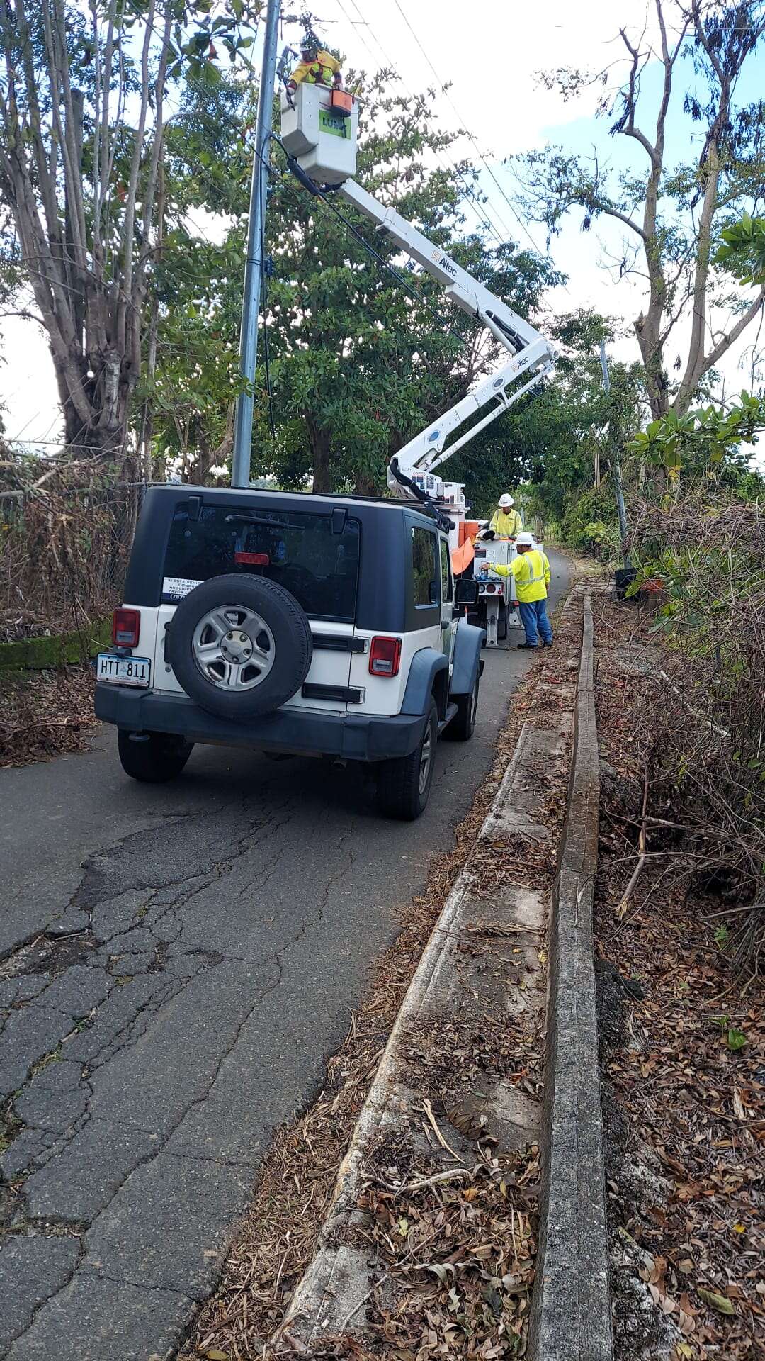 En Carolina la historia es distinta con LUMA