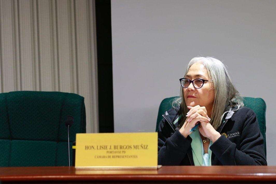 A vista ejecutiva proyectos de servicios para personas de edad avanzada